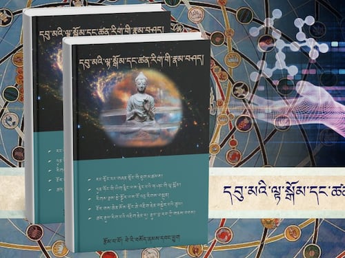 དབུ་མའི་ལྟ་སྒོམ་དང་ཚན་རིག་གི་རྣམ་བཤད་སྐོར་སྤྱི་ཡོངས་ཀྱི་ངོ་སྤྲོད།