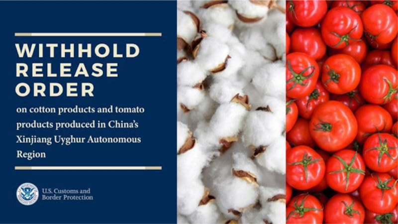 美国国土安全部和海关与边境保护局周三(13日)宣布,禁止所有新疆的棉花、番茄制品入境美国。(美国海关与边境保护局官方推特图片)