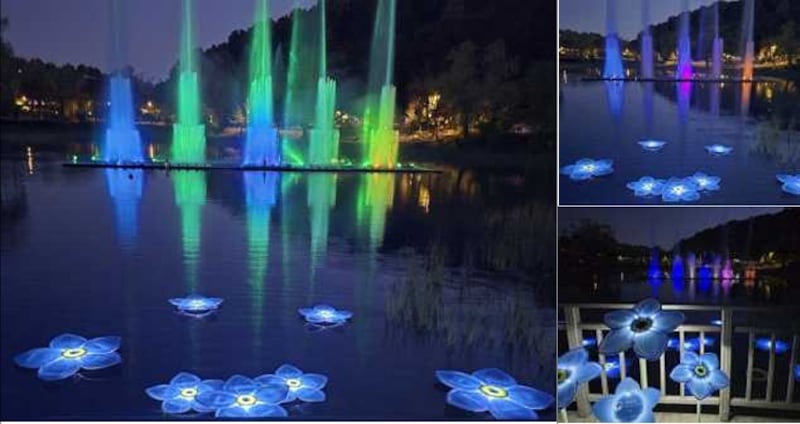 보라매공원에 조성된 세송이물망초의 연못