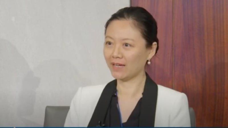 美国战略与国际研究中心(CSIS)中国实力项目主任林洋(Bonny Lin)在会上表达不同看法。(视频截图/CSIS)