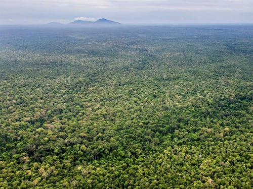 សកម្មជនស្នើឱ្យរដ្ឋាភិបាលលុបចោលគម្រោងកាត់ដីព្រៃឡង់៩៩ហិកតារឱ្យក្រុមហ៊ុនឯកជន